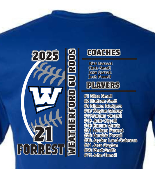 World Series 6u